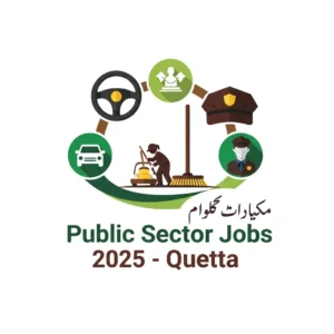 Public Sector Organization in Quetta